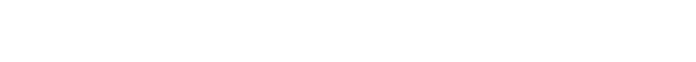 Majestic Fast Ferry Pte Ltd.