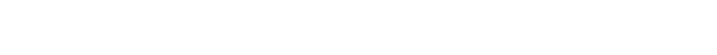 Majestic Fast Ferry Pte Ltd.